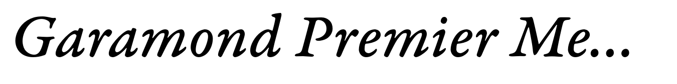 Garamond Premier Medium Italic Caption
